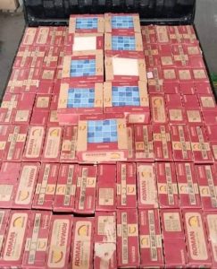 jasa kolam renang profesional